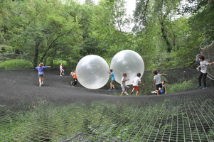 bois des lutins Paul (18) 01